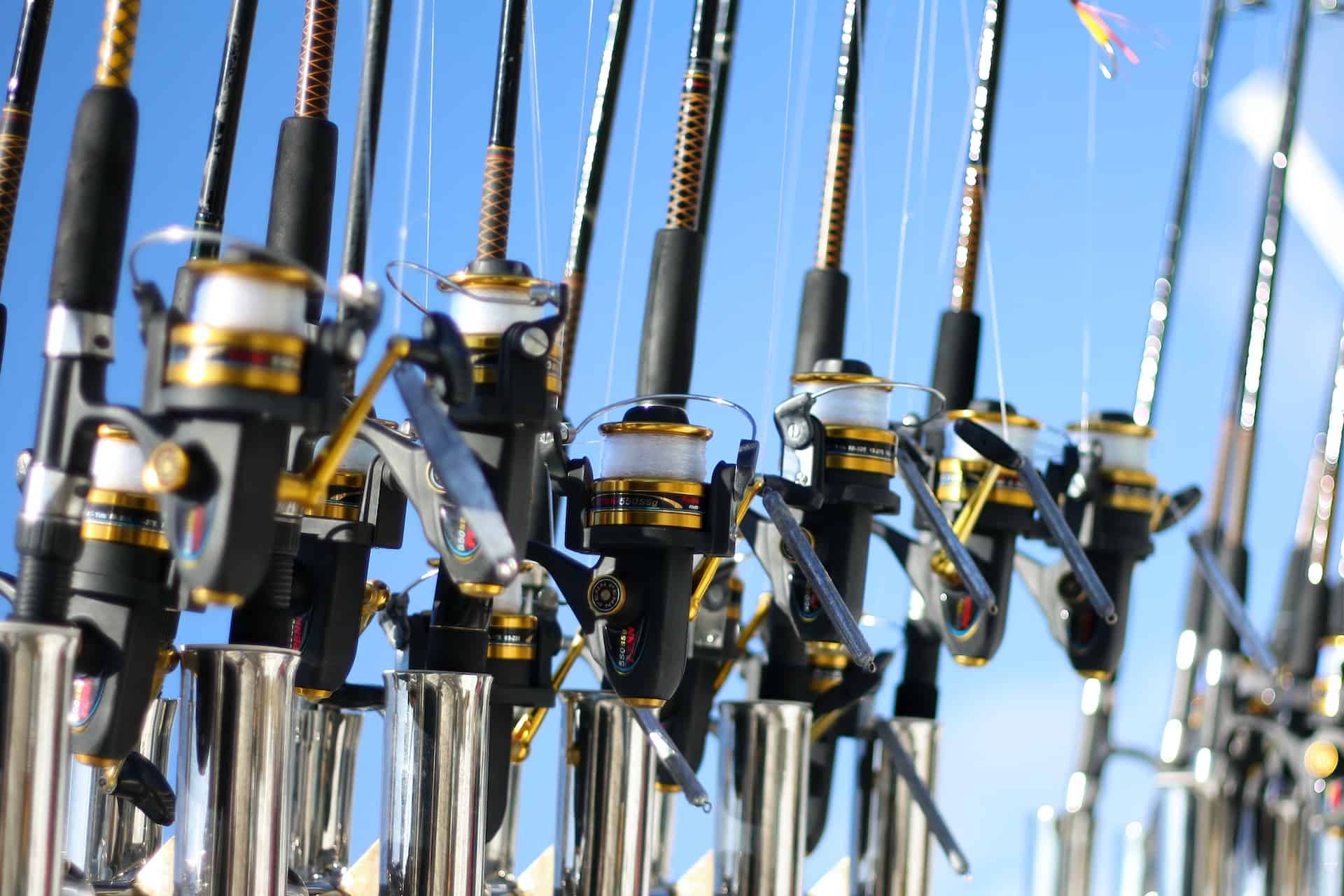 Top Rods For Walleye Fishing